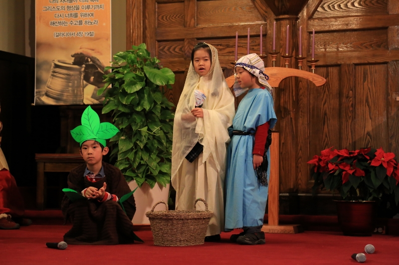 X-Mas(2013) 090 (800x533).jpg