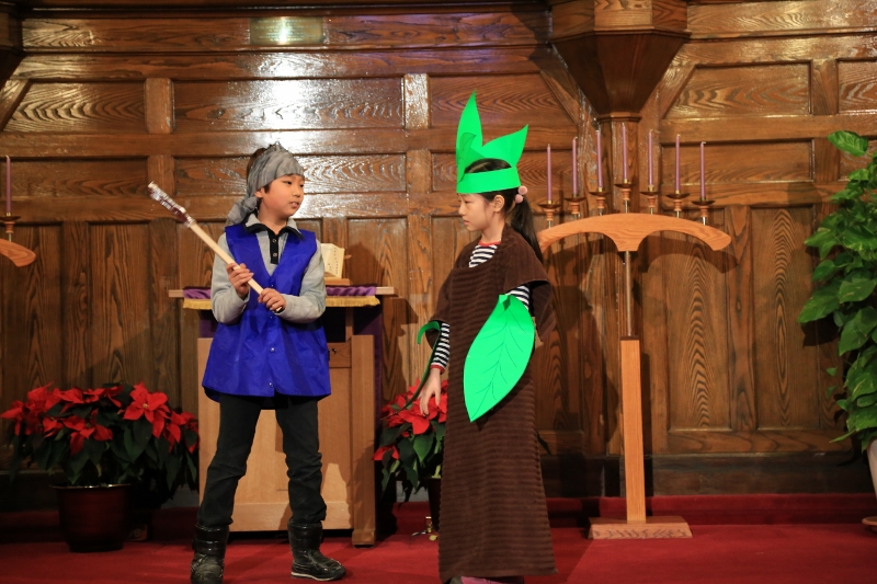 X-Mas(2013) 084 (800x533).jpg