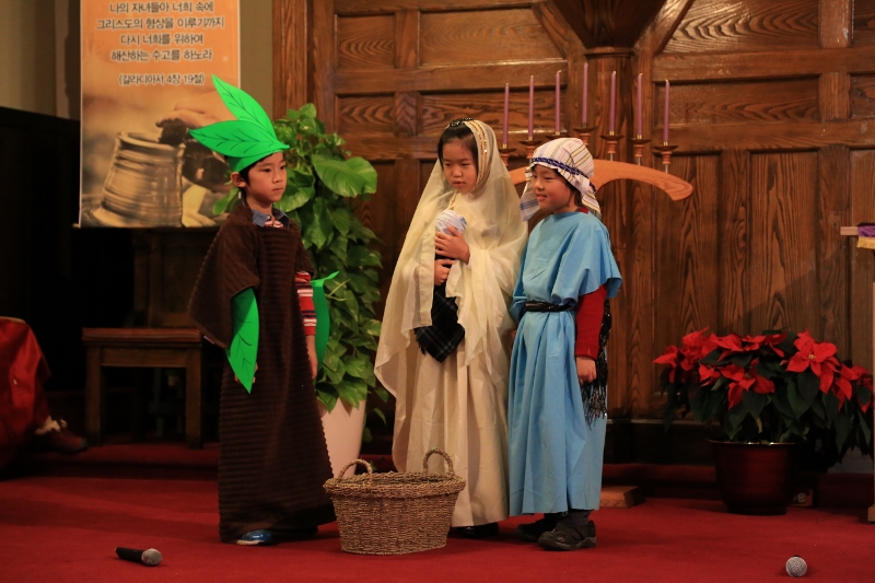 X-Mas(2013) 087 (800x533).jpg