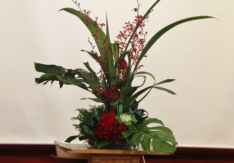 IMG_5015 (800x558).jpg