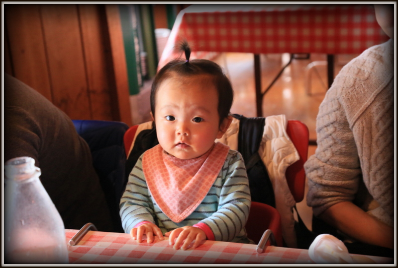 Maple Syrup 농장 179.JPG