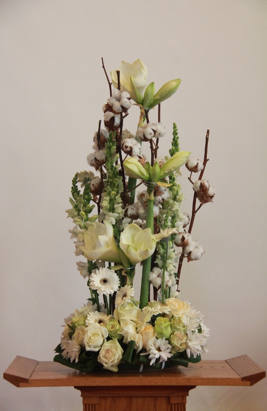 IMG_5376 (519x800).jpg