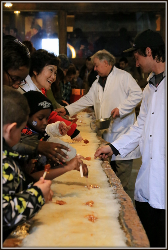 Maple Syrup 농장 196.JPG